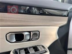 جیتۆر داشينگ